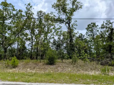 Residential Lot in Citrus Springs