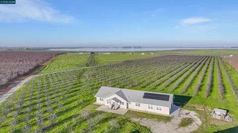 Almond Orchard Income-Generating Farm