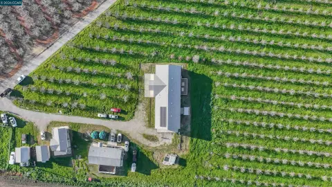 Almond Orchard Farm