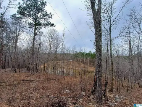Unfinished Cabin Hunting Land