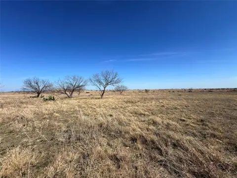 Hamilton Ranch Land For Sale
