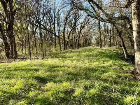 20-Acre Ranch in Comanche Valley