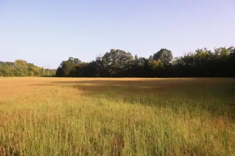 Farmland with Creek