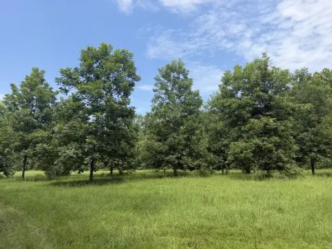 Hunting Land with Creek Frontage