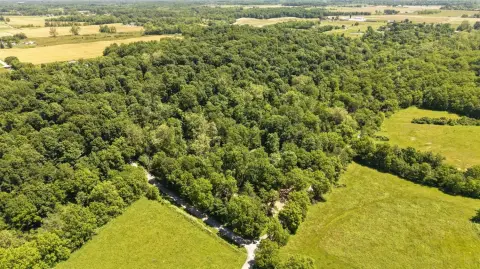 Heavily Wooded Hunting Land