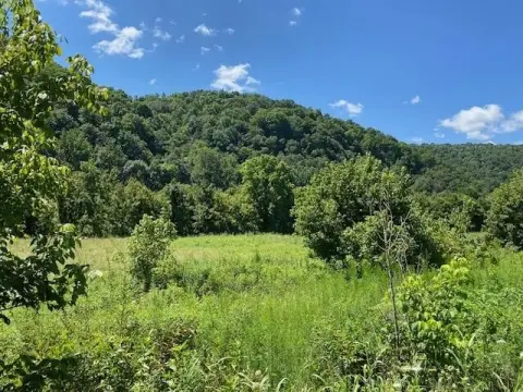 Riverfront Waterfront Land