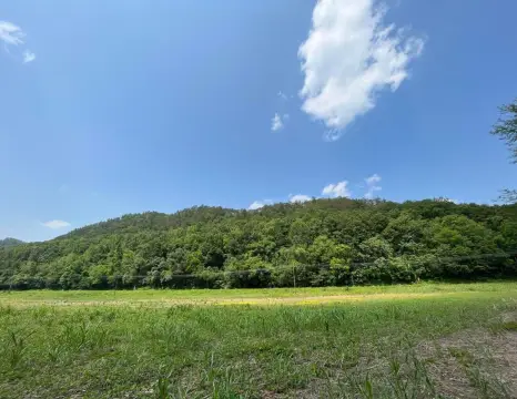 Recreational Hunting Land with Forest Access