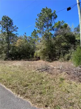 Vacant Lot in Crystal River