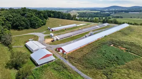 Turnkey Commercial Poultry Farm Land