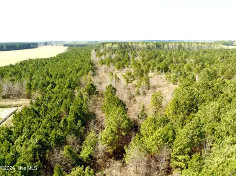 Versatile Timberland & Recreational Property