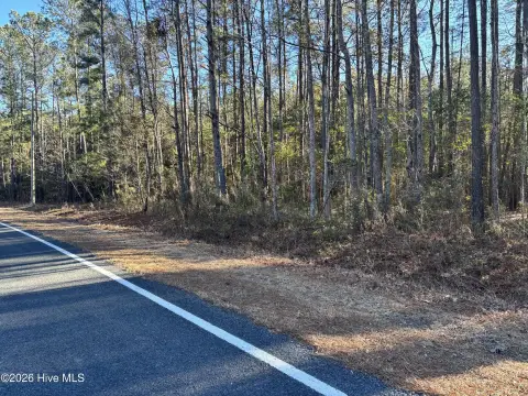 Vacant Land in Rowland, NC
