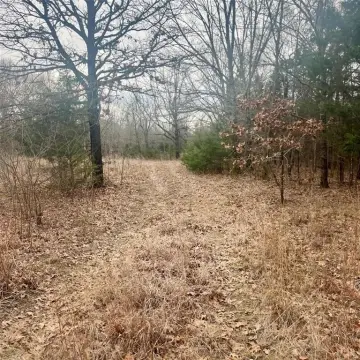 Sulphur Springs Unimproved Land