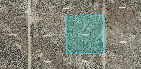 Agricultural Vacant Land