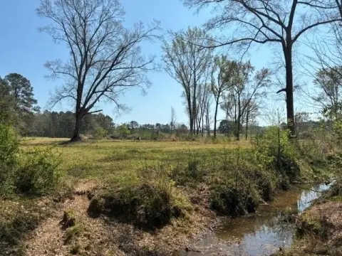 Pasture Land on Dorcheat Road