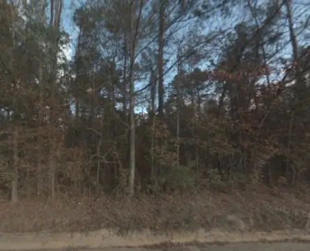 Wooded Agricultural Tract