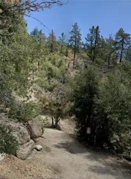 Vacant Land in Running Springs