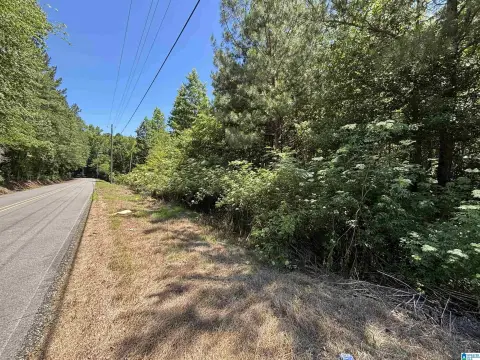 Agricultural Land Tract Near I-20