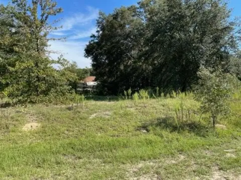 Residential Land in Dunnellon, FL