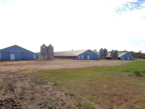 Operating Chicken Farms in East Texas
