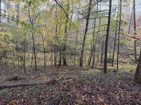 Unrestricted Recreation Land Parcel