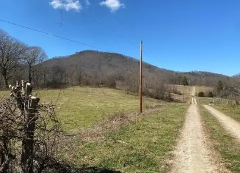 Wooded Mountain View Land Parcel