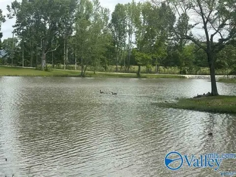 Waterfront Lots on Weiss Lake