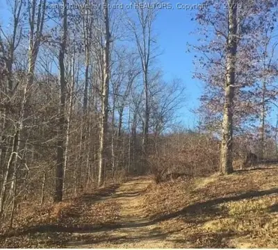 Wooded Hunting and Recreation Land