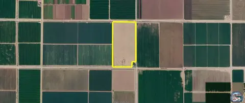 Field Crop Farmland with Tile