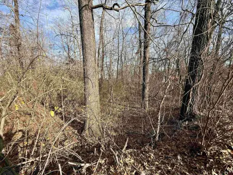 Mountain Home Building Lot