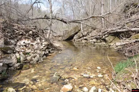 Ozark Acreage for Hunting, Hiking