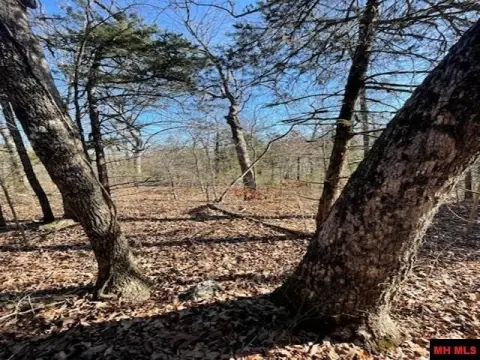 Yellville Acreage with Stream