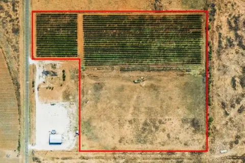 Established Vineyard Acreage