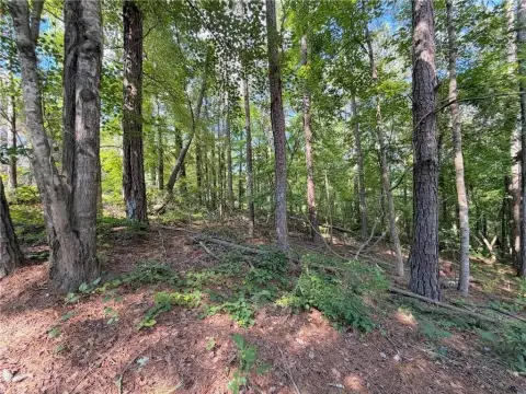 Residential Lot in Gated Community