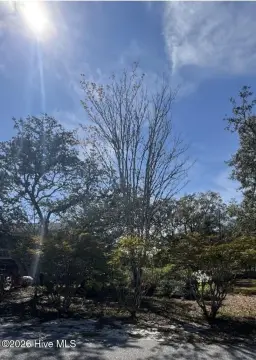 Oak Island Residential Land