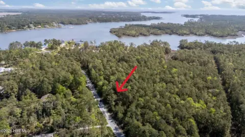 Wooded Acreage Near Oriental