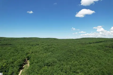 Wooded Hunting and Recreation Land