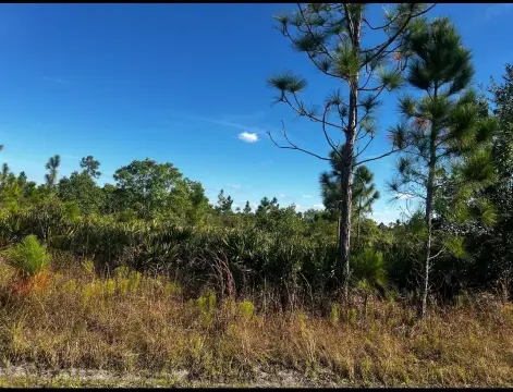 Lake Wales Vacant Land Opportunity