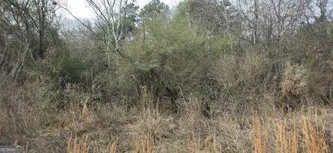 Commercial Land on High-Traffic Corridor