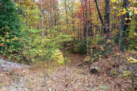Wooded Residential Buildable Lot