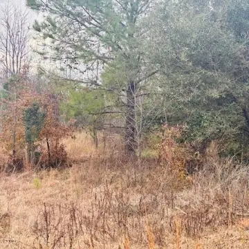 9 Acres Land Near Aiken