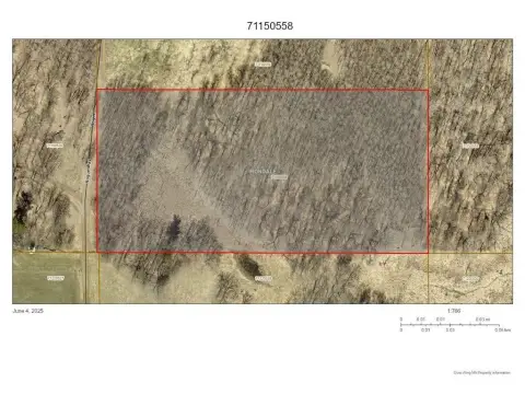 Wooded Land Parcel in Ironton