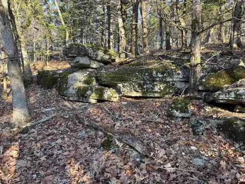 Wooded Acreage with Distant Views