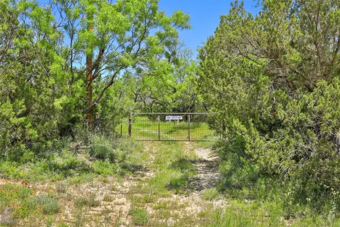 Undeveloped Hunting Land Tract