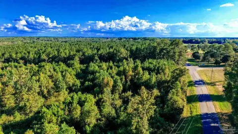 Timbered Hunting Land