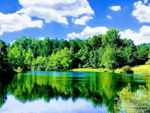 Hunting Land with Pond
