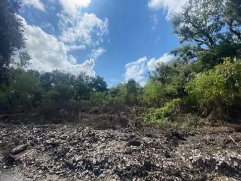 Residential Land in St. Bernard