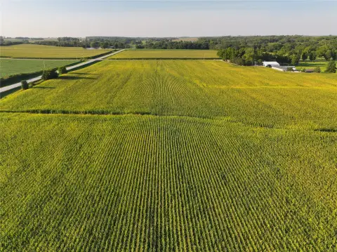 Farmland with Creek Corridor