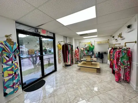 Commercial Property on Delaware Avenue