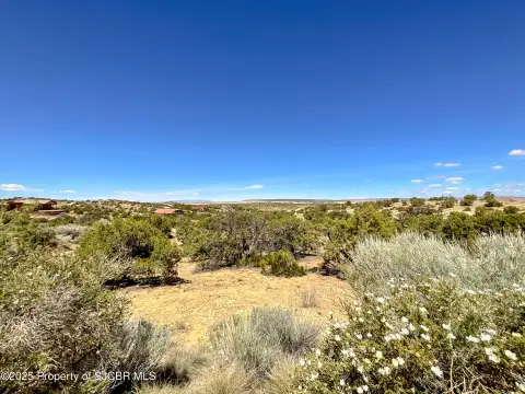 Vacant Subdivision Home Lot