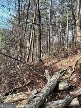 Mountain Lot in Gated Community